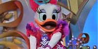 デイジーダック| キャステル | CASTEL ディズニー情報