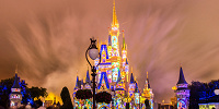 ステンドグラス風に映し出されるディズニーキャラクター　設定：16㎜ SS15.0 F10 ISO100（三脚使用・トリミングあり）| キャステル | CASTEL ディズニー情報