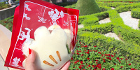 「グローブシェイプ・チキンパオ」| キャステル | CASTEL ディズニー情報