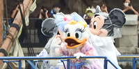 雨の日仕様のデイジー| キャステル | CASTEL ディズニー情報