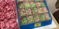 蓄光アルファベットパーツ（1つ90円）| キャステル | CASTEL ディズニー情報