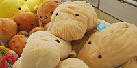 ジュゴンのぬいぐるみ| キャステル | CASTEL ディズニー情報
