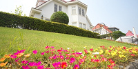 ワッセーナの花| キャステル | CASTEL ディズニー情報