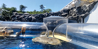 海獣の王国水槽| キャステル | CASTEL ディズニー情報