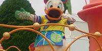 ドナルドダックの身長| キャステル | CASTEL ディズニー情報
