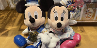 ミッキー＆ミニーぬいぐるみセット| キャステル | CASTEL ディズニー情報