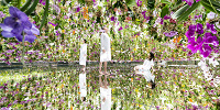 Floating Flower Garden| キャステル | CASTEL ディズニー情報