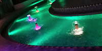 ジャスミンのフライングカーペット（夜の水面）| キャステル | CASTEL ディズニー情報