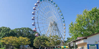 愛知県豊橋市ののんほいパークを徹底解説！エリア紹介、チケット料金、アクセス・駐車場情報まとめ