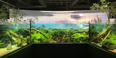 カワスイ 川崎水族館へ行ってきた！見どころ、チケット料金、お土産、レストラン＆カフェ、アクセスを解説