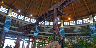 【USJ】恐竜グッズ専門ショップ「ジュラシック・アウトフィッターズ」を徹底解説！みどころや場所も！