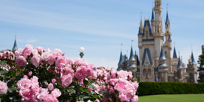 【ディズニー持ち物】ディズニーに持っていったけど実際は必要なかった持ち物10選！