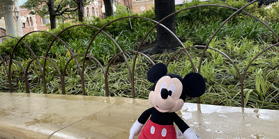 ディズニーランドの休憩スポットはどこ？無料のベンチやのんびりできるレストラン・アトラクションを紹介