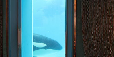 【鴨川シーワールド】食事におすすめレストラン11選！持ち込みOK、周辺やホテルのレストランも