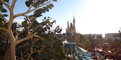 ディズニーリゾートギフトカード購入方法・種類徹底解説