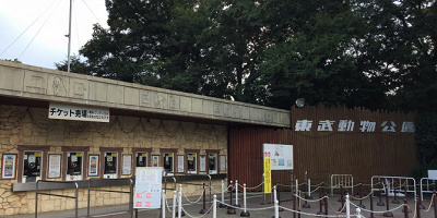 【東武動物公園】車で行くなら西ゲート！駐車場・動物園・プールへの行き方＆ポイント