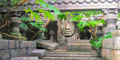 【待ち時間情報も】ジャングルクルーズ：ワイルドライフ・エクスペディション概要・混雑攻略