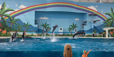 八景島シーパラダイスの水族館はジンベエザメに注目！エリア＆開催イベントまとめ！