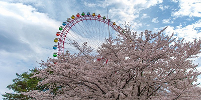 【2019】西武園ゆうえんち徹底解説！チケット料金・アトラクション・イベント・ショップまとめ！