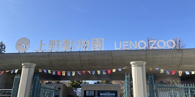 【2023】上野動物園の混雑解説！春休み・GW・夏休み・冬休みの混雑状況＆回避方法まとめ！