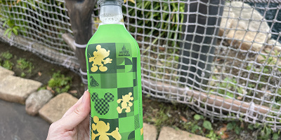 ディズニーランドで飲めるお茶全種類！自販機にお茶はある？子供用の麦茶も販売！
