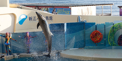 【新江ノ島水族館】えのすい駐車場ガイド！主要な周辺駐車場の料金・混雑・注意点・アクセスまとめ！