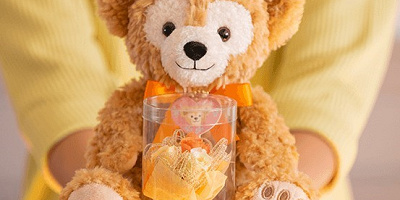 【2019】母の日ギフト向けディズニーグッズ特集！感謝を込めて贈るディズニーランド＆シーのギフトまとめ！