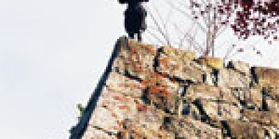 【体験型】伊賀流忍者博物館とは？忍者体験ができる！料金・割引・アクセス情報も！