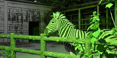 【8月開催】東山動物園のナイトズーとは？夜の動物たちを堪能できる！イベント概要・注意点まとめ！