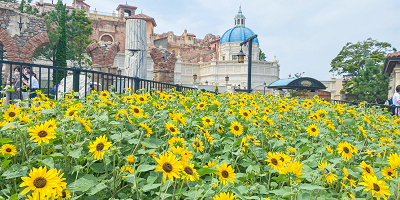 【ディズニー再開レポ】ディズニーシーを1日楽しんでみた！フォトジェニックなパークをレポート！