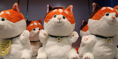 【ベイマックスの猫】「モチ」を解説！プロフィール＆グッズまとめ！映画のトリビアやパーク情報についても！