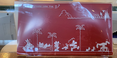 【必見】ディズニーのマスクケースがスーベニアグッズに登場！値段・販売場所・入手方法などを解説！