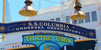 【タートルトークのスタンバイパス】入園時間別の攻略方法まとめ！発券終了時間を調査！