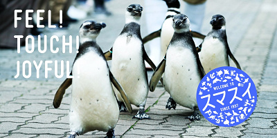 神戸・須磨海浜水族園のリニューアル情報まとめ！再開後はシャチがやってくる！休館期間や終了施設は？