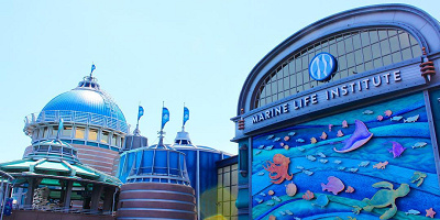 【ディズニー】ニモのお父さん「マーリン」の徹底紹介！性格や家族構成は？声優はあの有名なタレントさん！