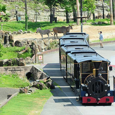 ケニア号に乗って動物たちの世界へ！