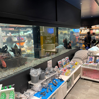 IN THE BLUE（アクアパーク品川）