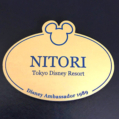 歴代アンバサダーピン