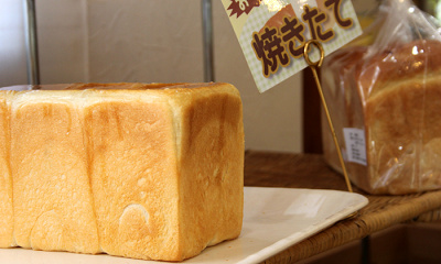 22 成田ゆめ牧場の見どころ5選 牧場グルメ お土産 動物とのふれあい パン作りも