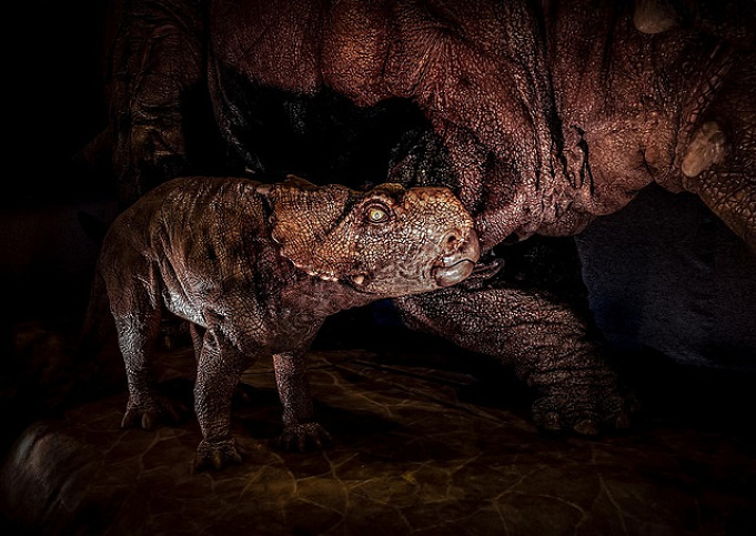 待ち時間も ザ フライング ダイナソー徹底解説 Usjの恐怖のジェットコースター