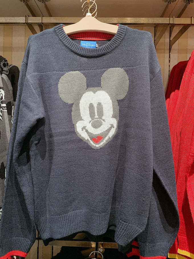 21春 ディズニーパーカーまとめ ランド シーで買えるパーカーを全種類チェック