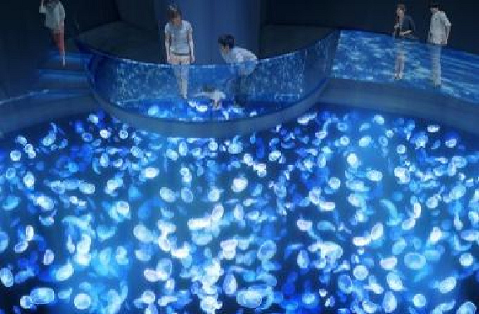 最新 すみだ水族館が7 6にリニューアル クラゲエリアが2倍になり 飼育の様子も観察できる