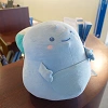 新江ノ島水族館のお土産グッズまとめ！あわたん×シナモロールグッズやえのすいオリジナルのお土産！値段や販売場所も！