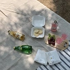 キャステル 【代々木公園】ピクニックの楽しみ方ガイド！持ち物やおすすめテイクアウトまとめ！