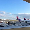 キャステル 【最新】ハワイの入国審査完全ガイド！家族と一緒？質問内容＆簡単回答例を一挙公開！