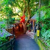 キャステル 【台湾】おしゃれカフェがたくさん！猫空（マオコン）の行き方と見どころを解説！