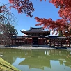 キャステル 【京都】お茶の名産地「宇治」の魅力を徹底解説！観光スポットや抹茶スイーツ、寺社仏閣を紹介