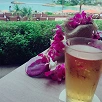 キャステル 【最新】ハワイ旅行で飲みたいビールまとめ！飲酒のルールやお土産で持ち帰る方法、おすすめコナビールも！