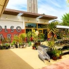キャステル シェアグリーン南青山は都会のオアシス！お洒落カフェや植物のお店、ソルソパークもおすすめ♪