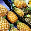 キャステル 【絶品】台湾で食べたい完熟フルーツ10選！マンゴーなどの高級品が格安で買えるフルーツ王国・台湾！